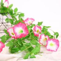 uploads/erp/collection/images/Home Garden/CongDing/XU0611267/img_b/XU0611267_img_b_1